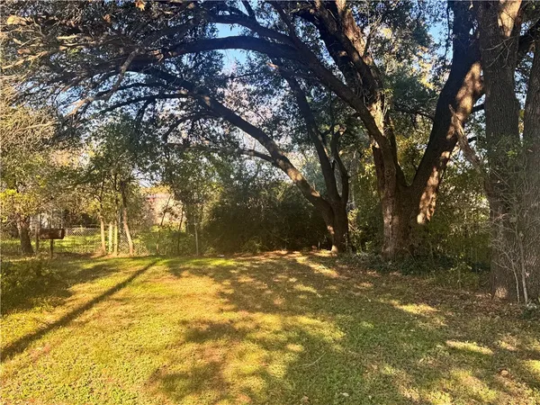a view of yard with trees