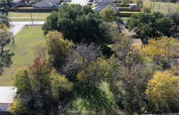 a view of a garden with plants