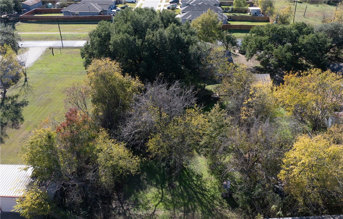 2007 Nuches Lane Bryan, TX 77803 - Photo 5 of 15 a view of a garden with plants