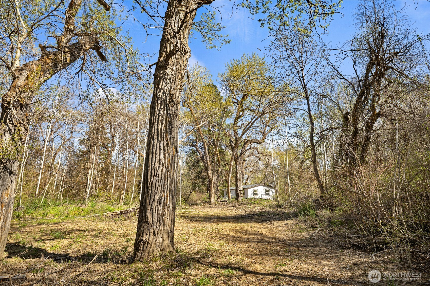 421 Cottonwood Road Thorp, WA 98946 - Photo 34 of 36