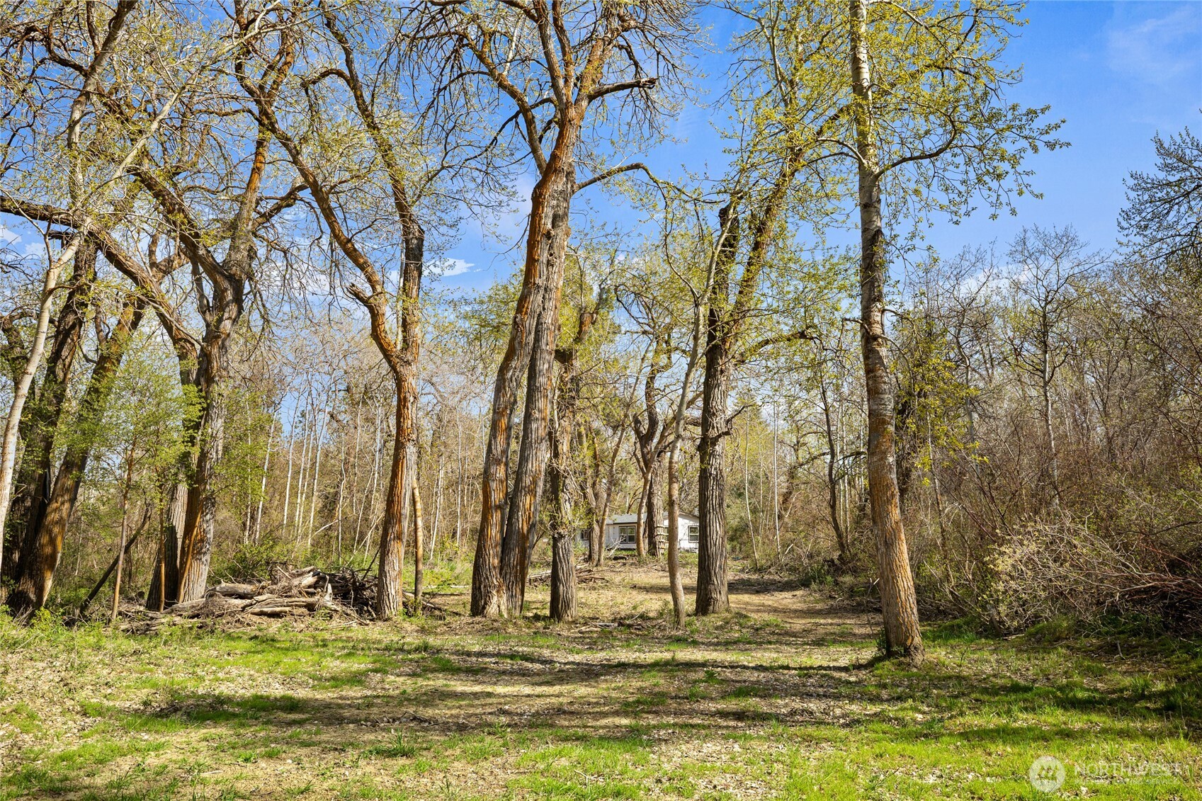 421 Cottonwood Road Thorp, WA 98946 - Photo 35 of 36