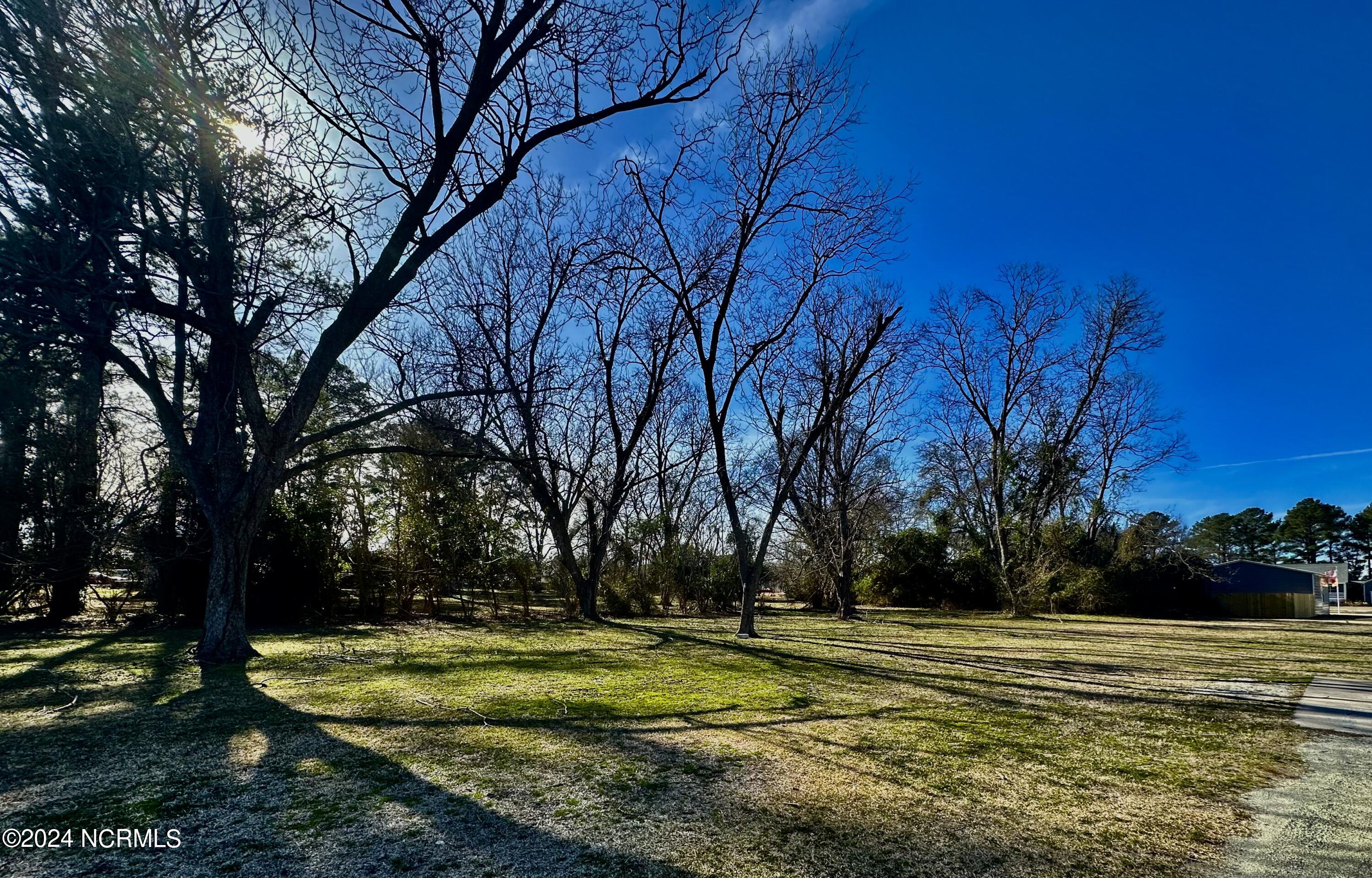 202 North 1st Avenue New Bern, NC 28560 - Photo 26 of 27 IMG_7250