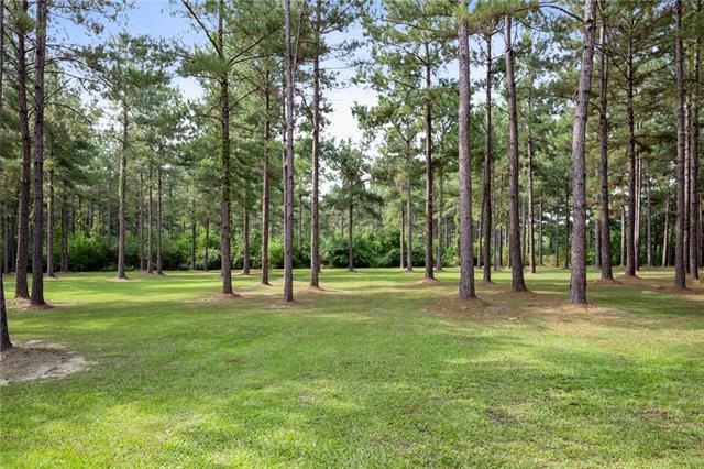 291 Shenandoah Lane Covington, LA 70435 - Photo 39 of 49