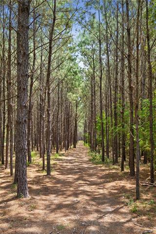 291 Shenandoah Lane Covington, LA 70435 - Photo 42 of 49