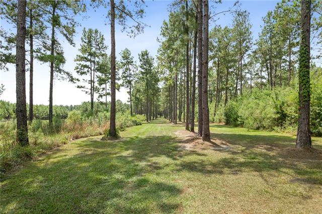 291 Shenandoah Lane Covington, LA 70435 - Photo 43 of 49