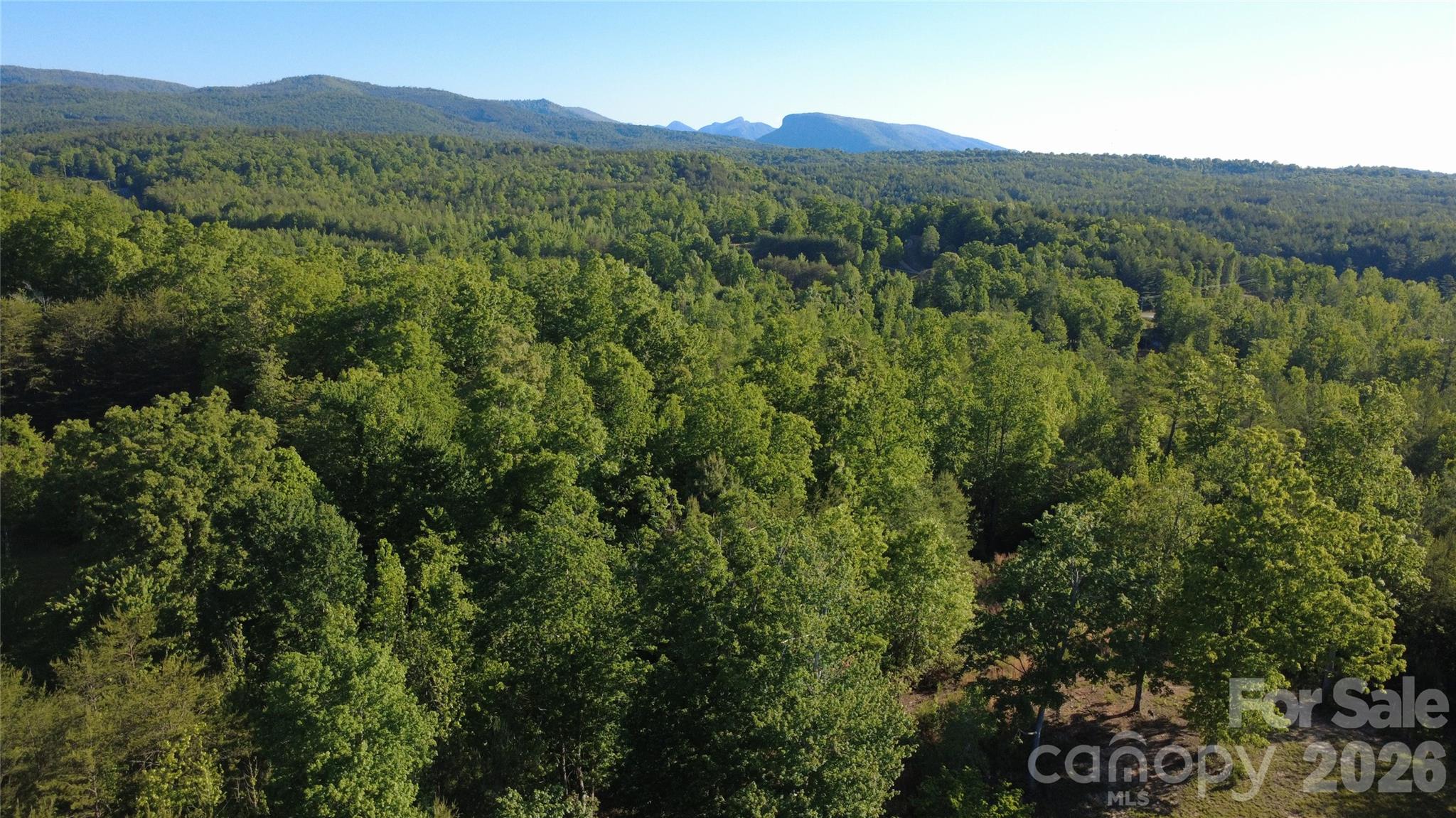 431 Ridge Point Road, Unit 7 Nebo, NC 28761 - Photo 15 of 20
