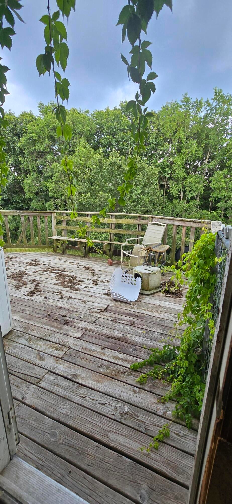 1832 Slab Camp Road Renick, WV 24966 - Photo 16 of 31 Gallery Image 16