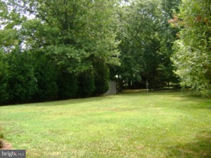 113 Calvert Road Stevensville, MD 21666 - Photo 21 of 25 Back yard