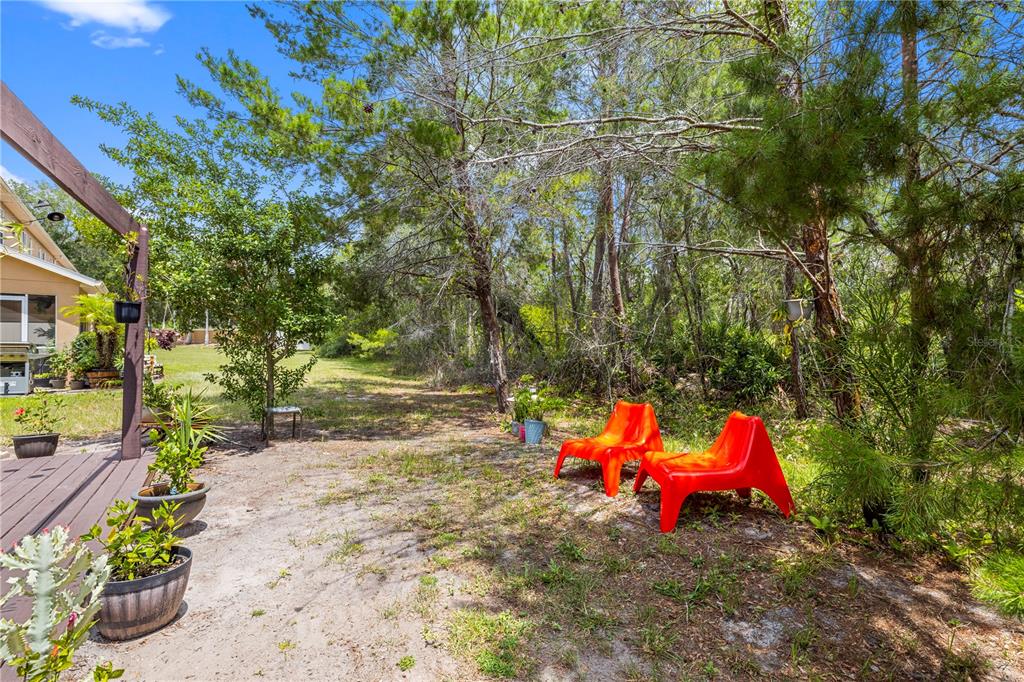 11742 Castine Street New Port Richey, FL 34654 - Photo 38 of 58