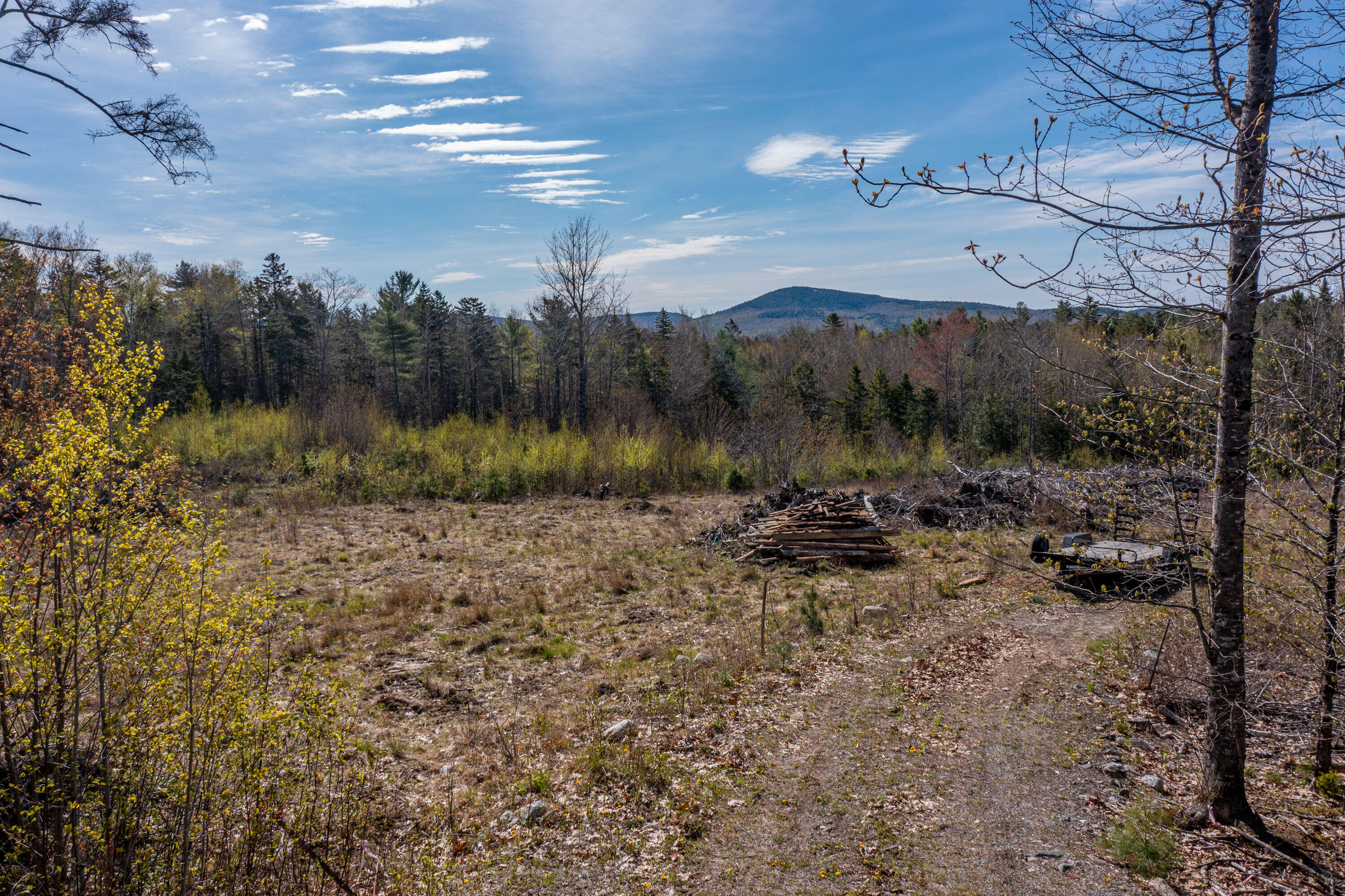 769 Bucksmills Road Bucksport, ME 04416 - Photo 3 of 12 2105