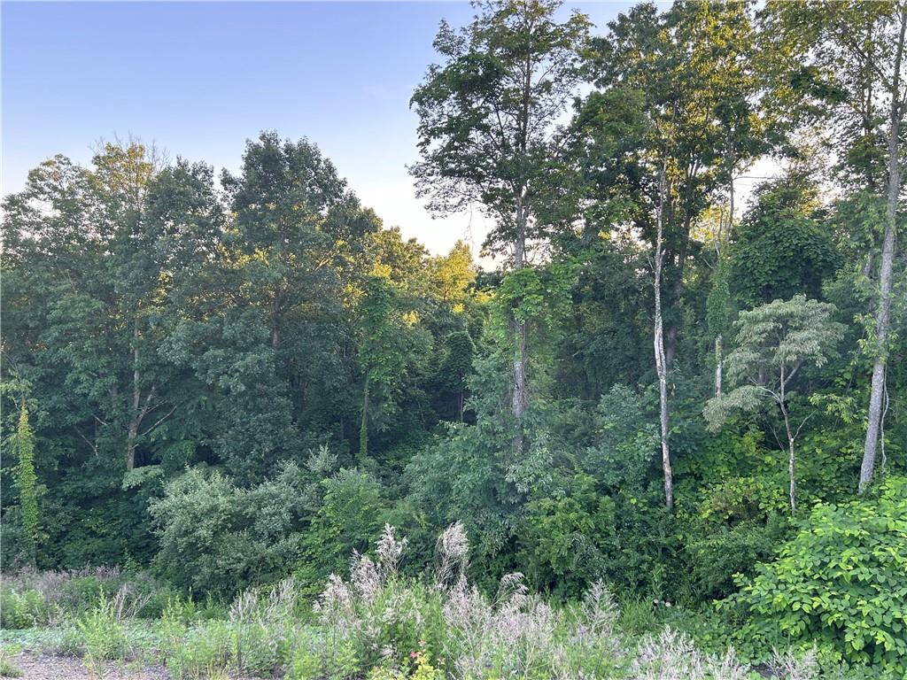 117 Wray Plan Road Kittanning, PA 16201 - Photo 3 of 3 a view of a forest with trees in the background