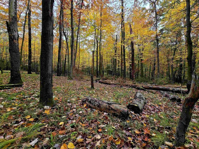 $150,000 | 731 East South Lake Street, Hancock, WI 54943