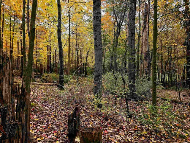 $150,000 | 731 East South Lake Street, Hancock, WI 54943