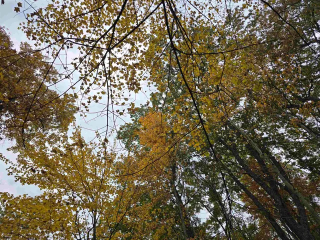 $150,000 | 731 East South Lake Street, Hancock, WI 54943