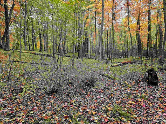 $150,000 | 731 East South Lake Street, Hancock, WI 54943