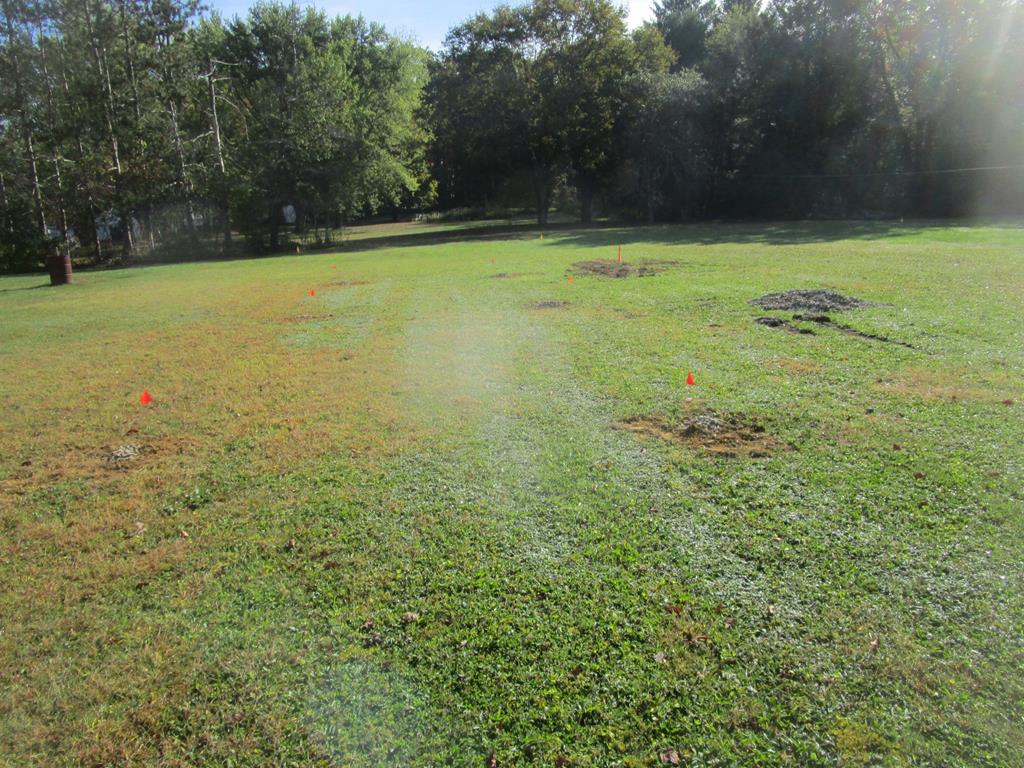 0 Country Club Road Brookville, PA 15825 - Photo 6 of 6 a view of a yard