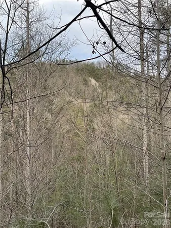 $25,000 | 55 Boone Cove Road, Unit 71, Zirconia, NC 28790