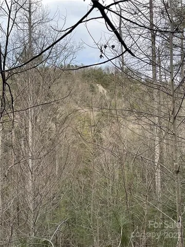 $30,000 | 55 Boone Cove Road, Unit 71, Zirconia, NC 28790