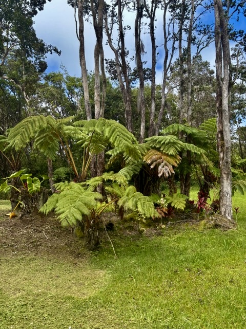 3 Haunani Road Volcano, HI 96785 - Photo 11 of 27 Gallery Image 11