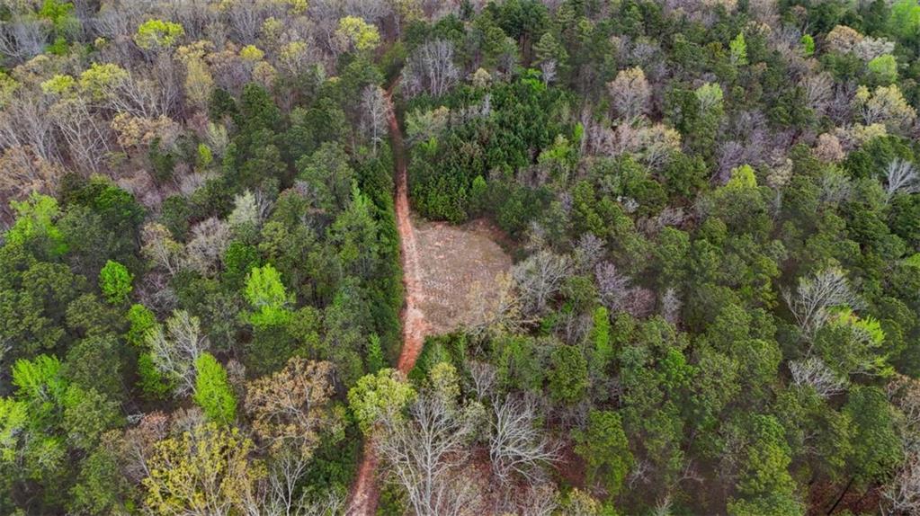 78-acr Cross Plains Road Carrollton, GA 30116 - Photo 4 of 13