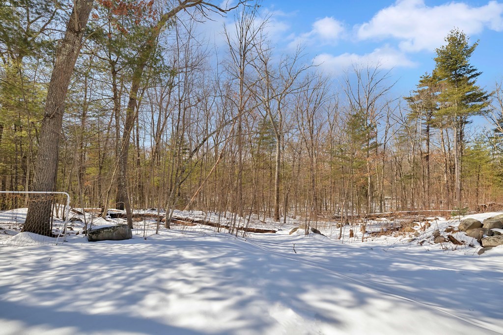 49 Red Bridge Road Wilbraham, MA 01095 - Photo 39 of 40 a view of outdoor space with patio