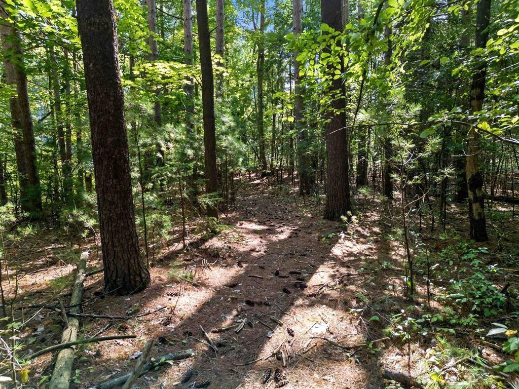 Vl Sandy Ridge Drive Hope, MI 48628 - Photo 11 of 12