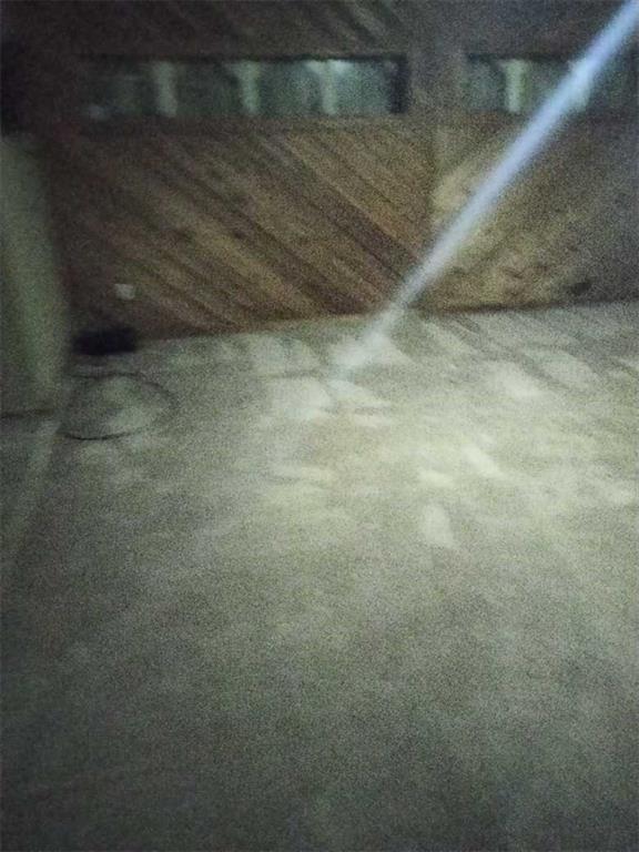 335 Ridgewood Drive Mandeville, LA 70471 - Photo 10 of 10