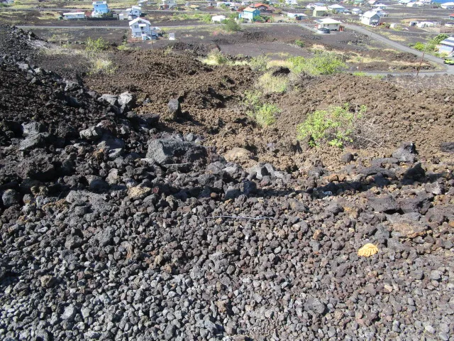 a view of a yard with a yard