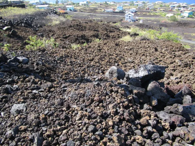 a view of a yard with a trees