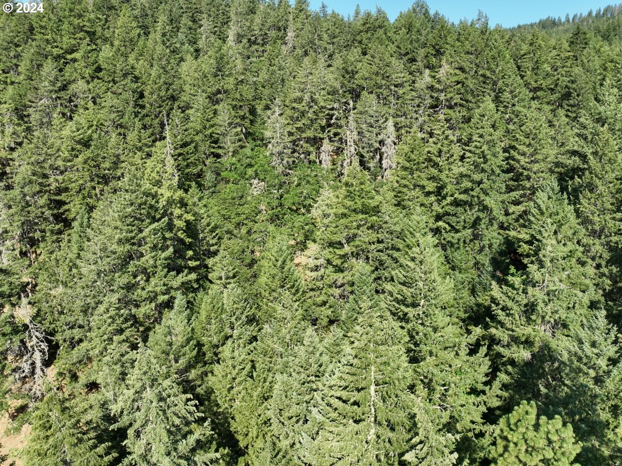 3475 Mosier Creek Road Mosier, OR 97040 - Photo 12 of 48 Gallery Image 12