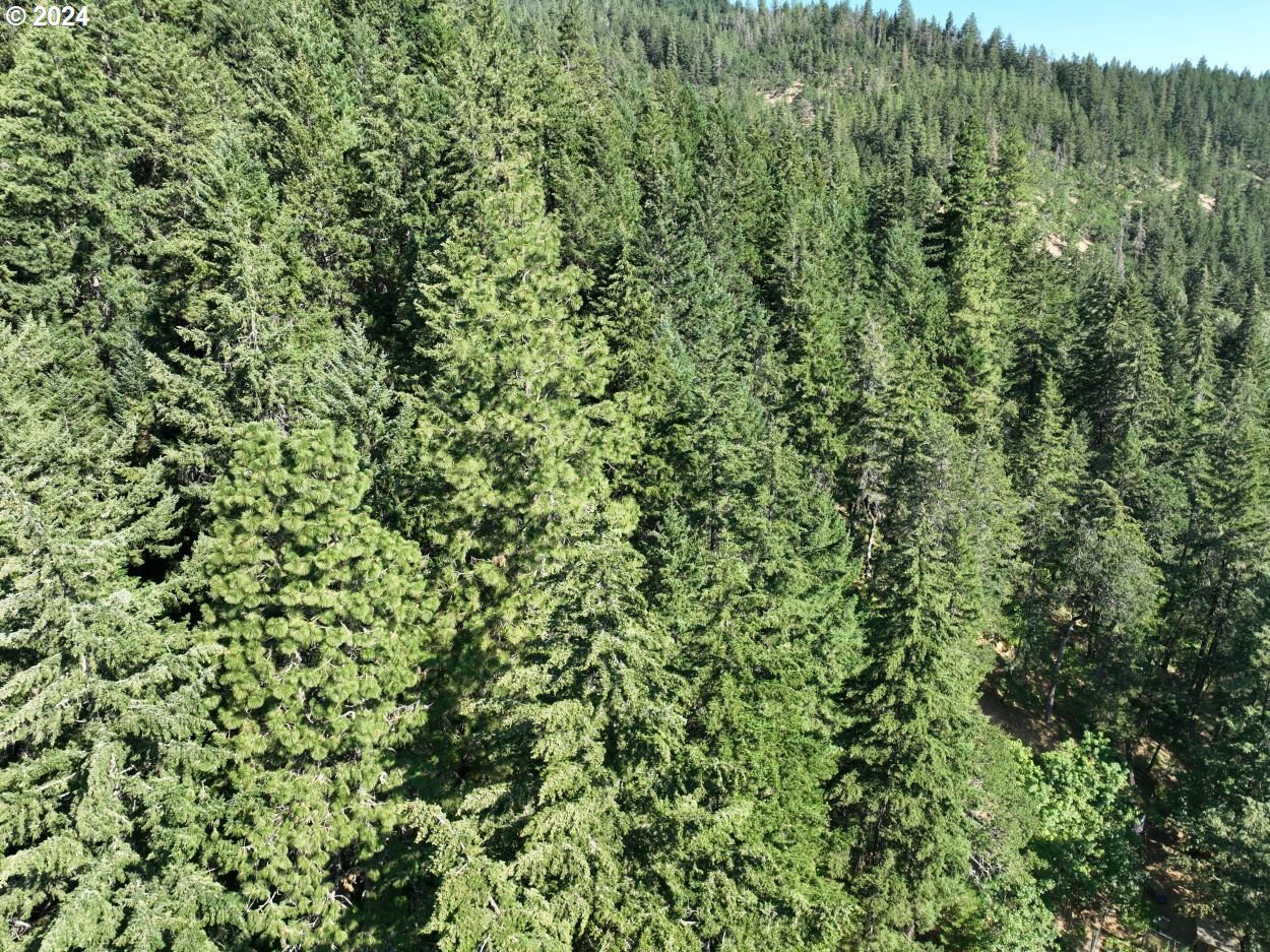 3475 Mosier Creek Road Mosier, OR 97040 - Photo 15 of 48 Gallery Image 15