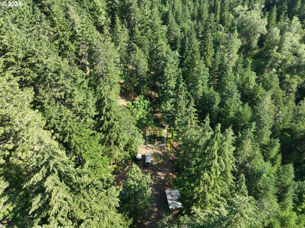 3475 Mosier Creek Road Mosier, OR 97040 - Photo 9 of 48 Gallery Image 9