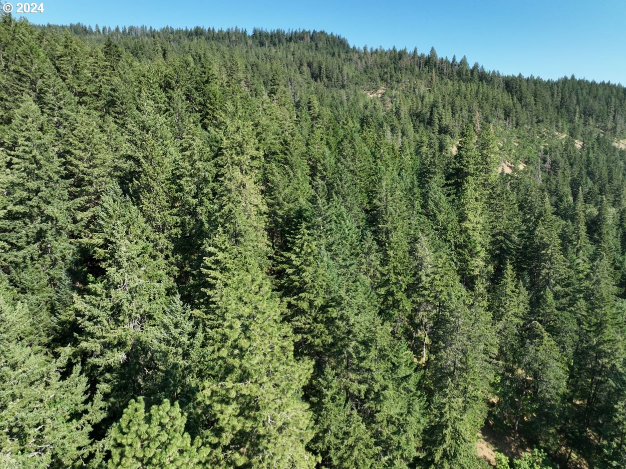 3475 Mosier Creek Road Mosier, OR 97040 - Photo 10 of 48 Gallery Image 10