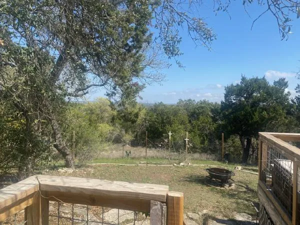 a view of a yard with a tree