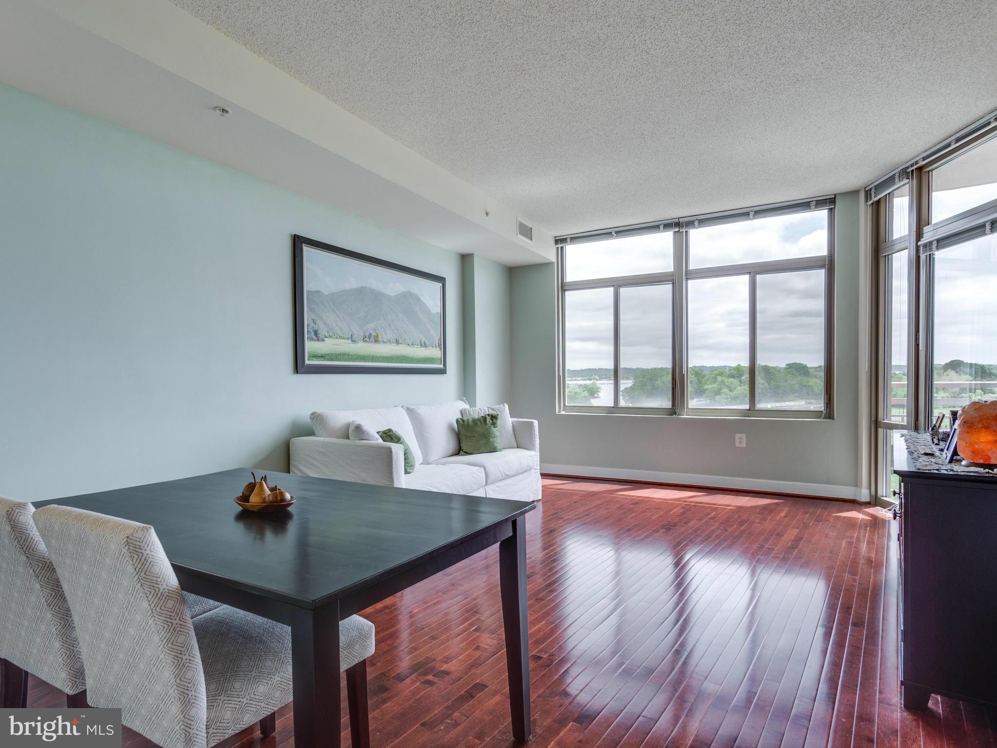 3650 South Glebe Road, Unit 570 Arlington, VA 22202 - Photo 15 of 30 Living Room