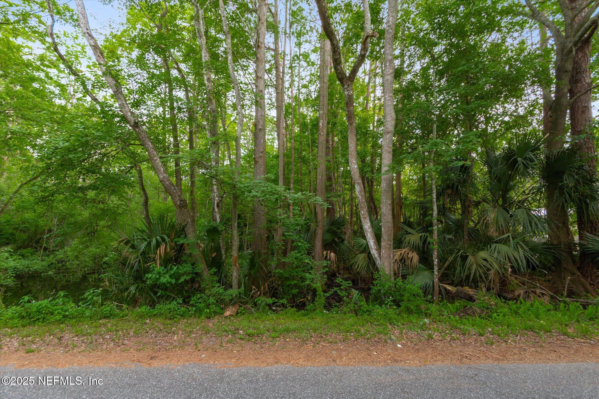 0 West 8th Street St. Augustine, FL 32084 - Photo 15 of 26 a view of a yard with plants and large trees