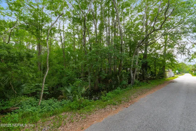 a view of a forest with trees