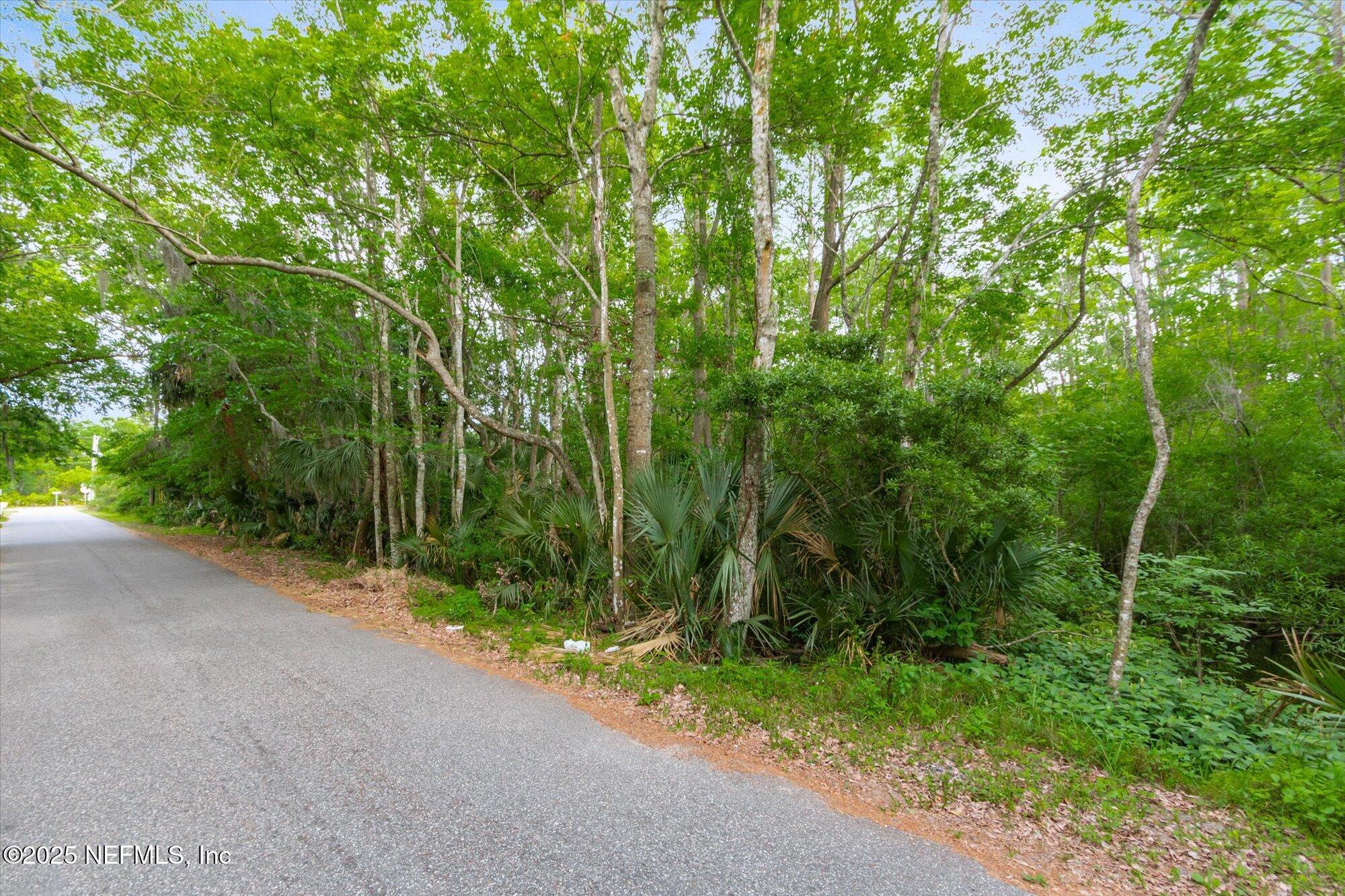 0 West 8th Street St. Augustine, FL 32084 - Photo 17 of 26 a view of a yard