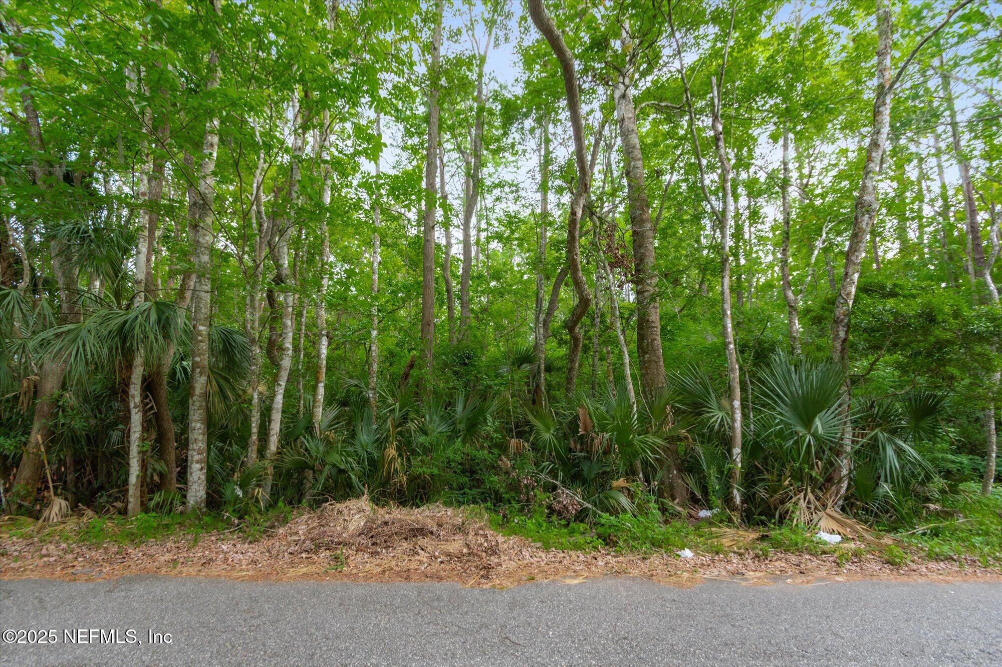 0 West 8th Street St. Augustine, FL 32084 - Photo 18 of 26 a view of backyard with green space