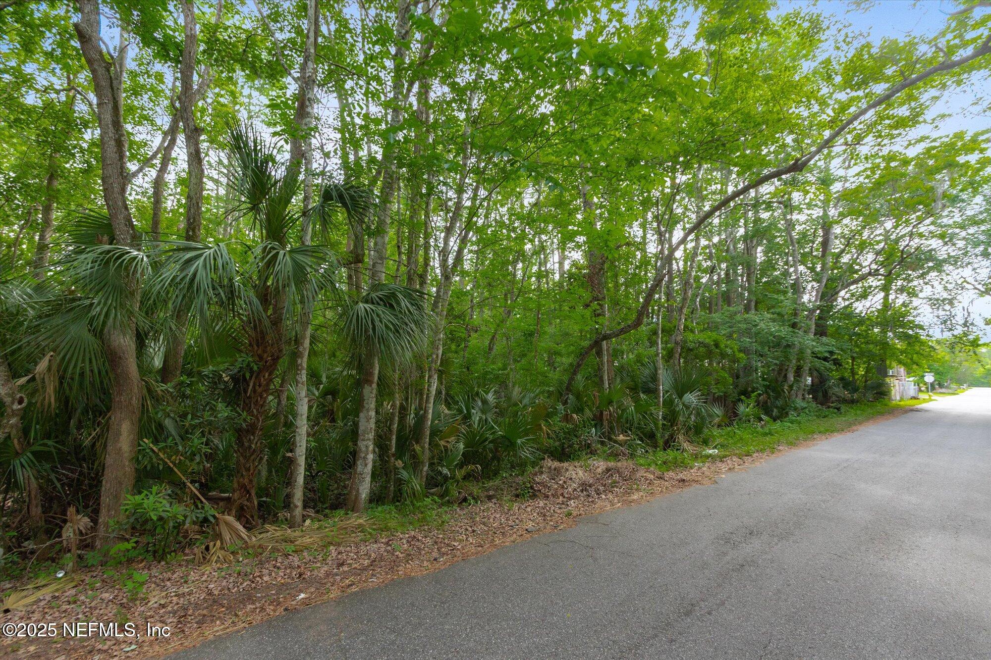 0 West 8th Street St. Augustine, FL 32084 - Photo 19 of 26 a view of a forest with trees in the background