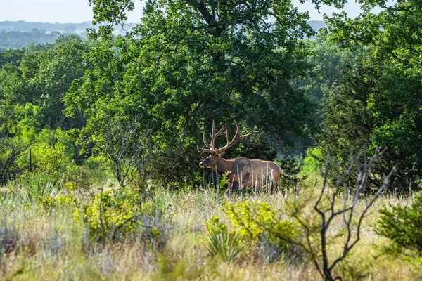 a close view of a sink in the patio