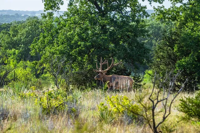 a close view of a sink in the patio