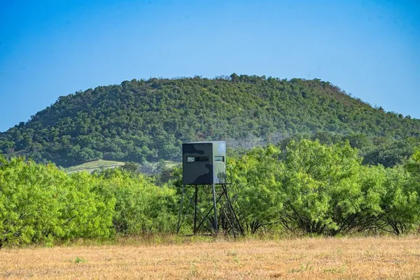a view of a bench in a garden