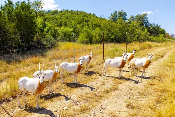 a view of an ocean and a building