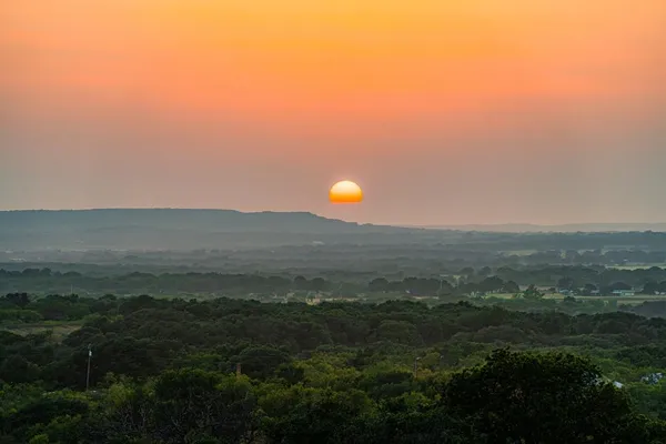 a view of a yard with large trees