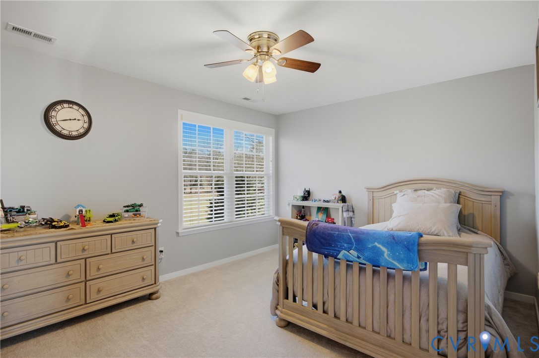 5913 Trail Ride Drive Moseley, VA 23120 - Photo 33 of 60