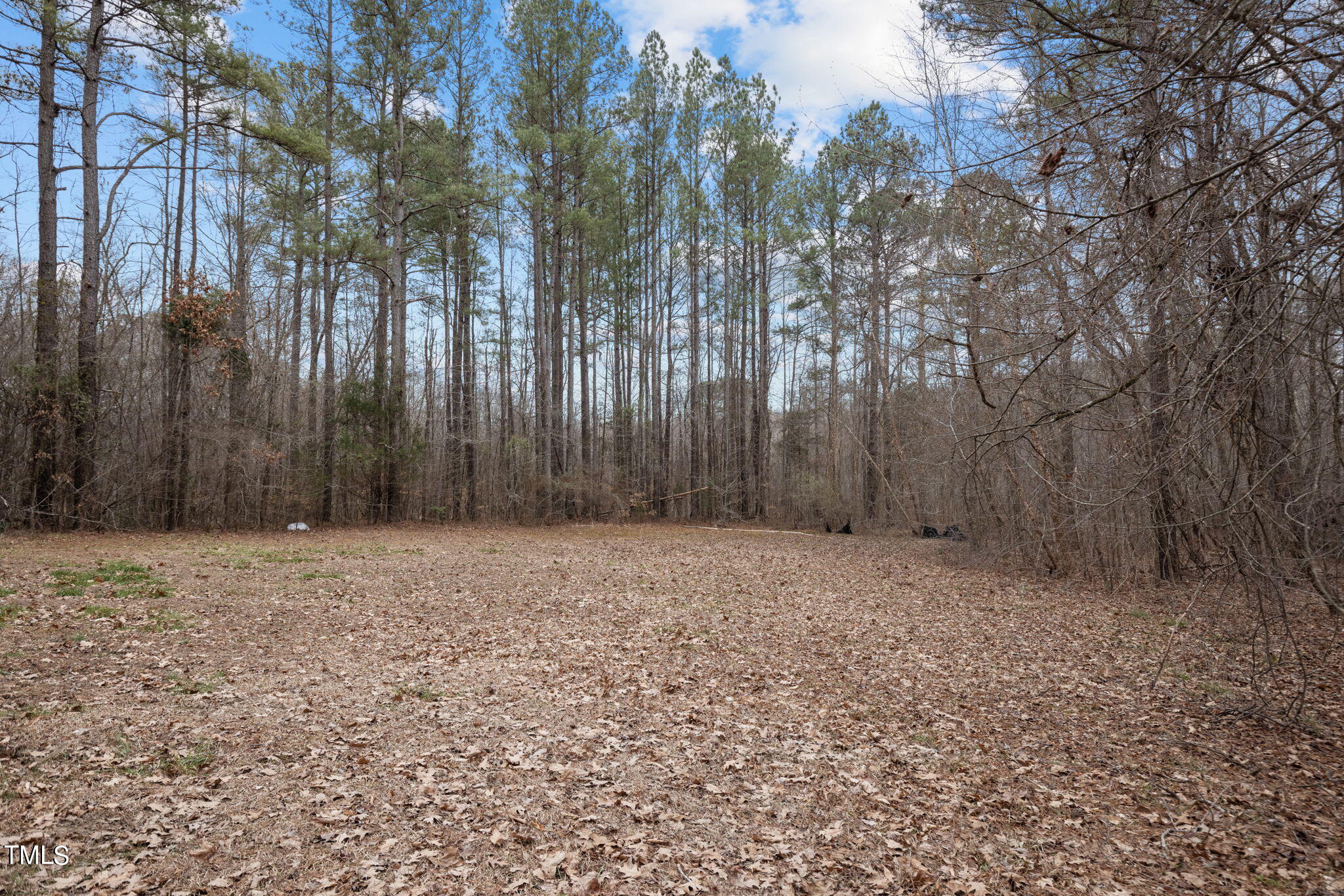 1188 Sims Bridge Road Kittrell, NC 27544 - Photo 33 of 40 34-web-or-mls-8Y3A8961