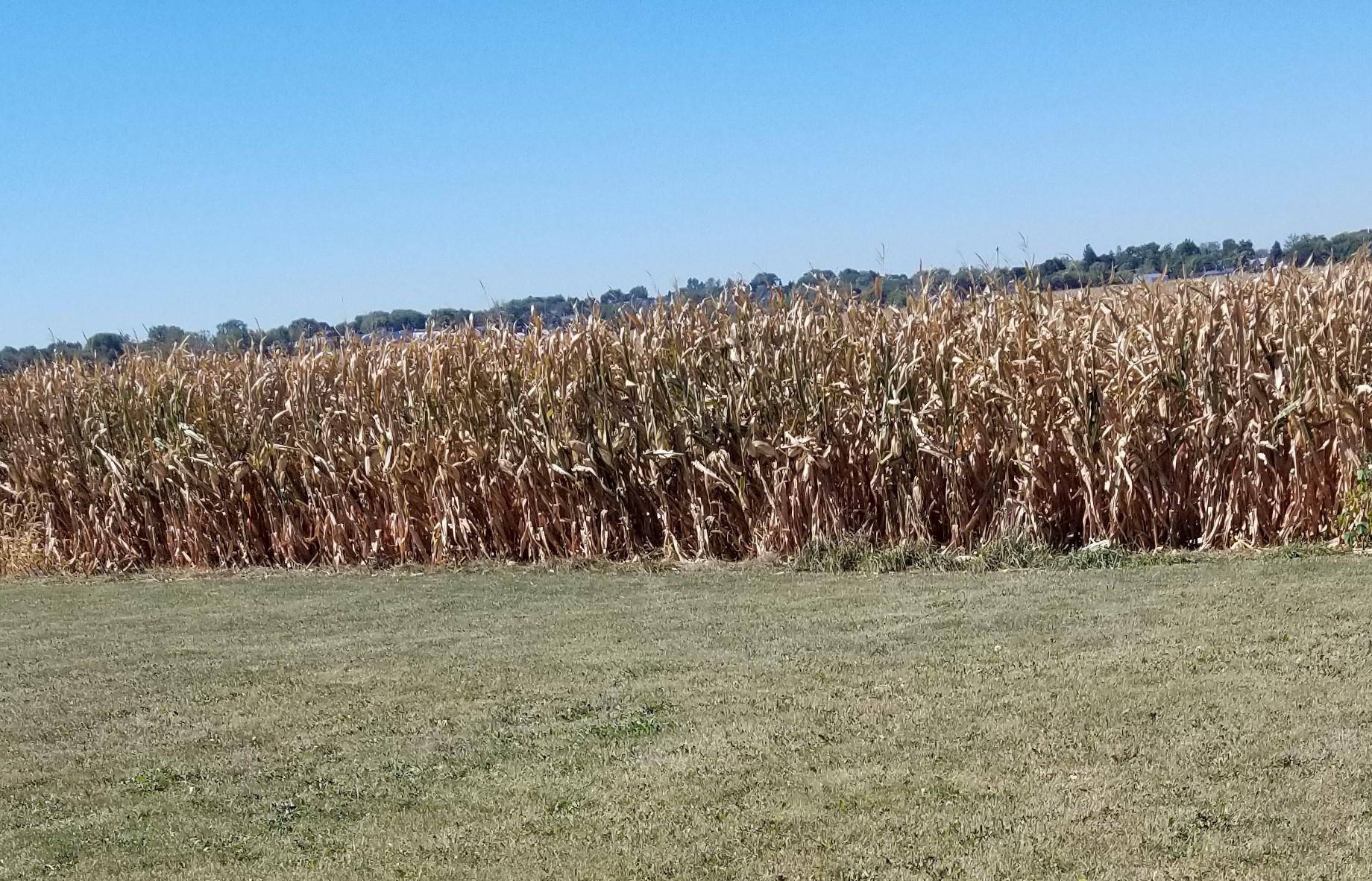 Tbd Sanders Hill Road Winslow, IL 61089 - Photo 1 of 1 Gallery Image 1