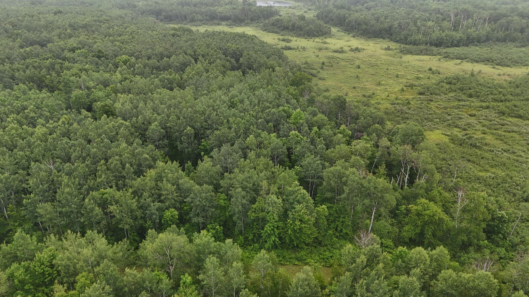 Tbd Klejeski Road Sandstone, MN 55072 - Photo 18 of 32