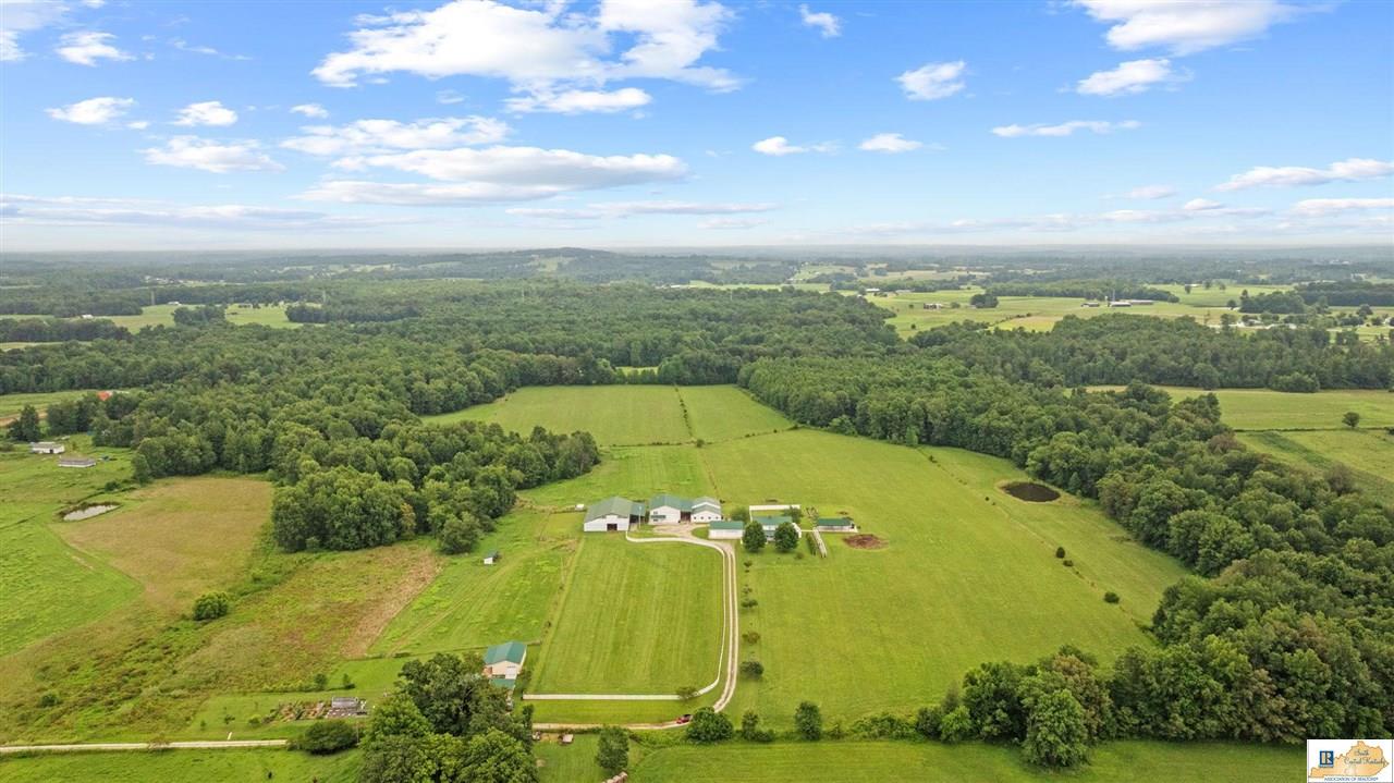 3003 Iron Mountain Road Center, KY 42214 - Photo 12 of 91 Gallery Image 12